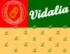 Flag of Vidalia, Georgia