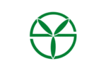 Yanaizu