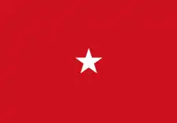 Red flag with one centered white five-point star