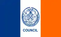 Standard of the New York City Council