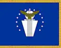 Flag of the United States Air Force Senior Executive Service