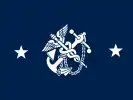 Flag of the Deputy Surgeon General(rear admiral)