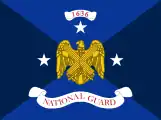 Flag of the Vice Chief of the National Guard Bureau