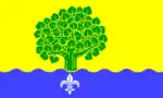 Flag of Bordesholm