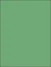 Flash - Natal Mounted Rifles (NMR) - 1940 - 1943