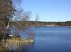 View of lake