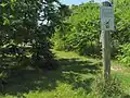 One of the many trails at Fletcher Wildlife Garden