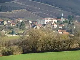 A general view of Fley