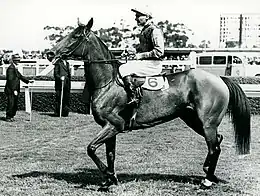 Flight, 1946 winner