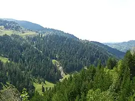 Focul Viu natural reserve in Andreiașu de Jos