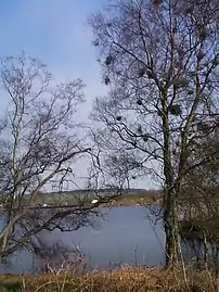 Fontburn reservoir