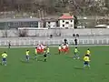 Footballers of FK Polimlje celebrating a goal.