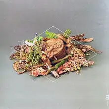 A small pile of dead leaves and assorted plantlife on a gray-green floor.