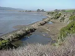 The former grade of the narrow gauge North Pacific Coast Railroad follows the east shore of the bay.