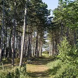 Scenery near the tip of Sjællands Odde