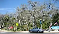 Fort Walton Mound