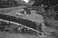 Ruins of Fort Zeelandia on Fort Island, Essequibo River