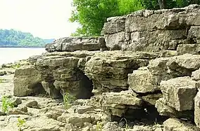 Fossil beds, Ohio Coral Reef