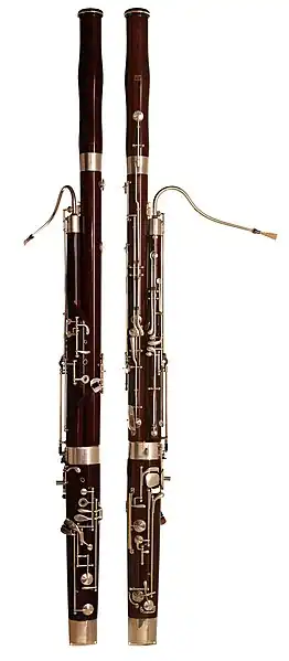 A bassoon