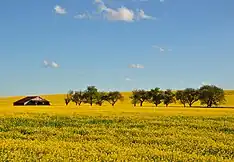 Spring in Autrécourt-sur-Aire