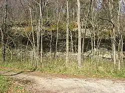 A large rockshelter on Bacon Flat Road