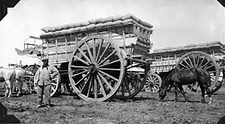 Freight wagons, Argentina 1920s