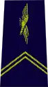 Élève officier de l'École de l'air (EA) (officer cadet, air force academy)