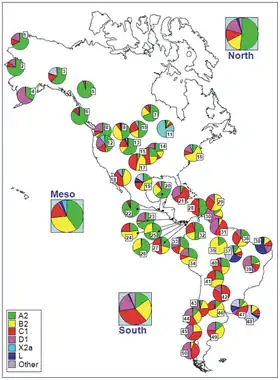 Codes for populations are as follow: North America: 1 = Chukchy, 2 = Eskimos; 3 = Inuit (collected from the HvrBase database; 4 = Aleuts; 5 = Athapaskan; 6 = Haida; 7 = Apache, 8 = Bella Coola; 9 = Navajo; 10 = Sioux, 11 = Chippewa, 12 = Nuu-Chah-Nult; 13 = Cheyenne; 14 = Muskogean populations; 15 = Cheyenne-Arapaho; 16 = Yakima; 17 = Stillwell Cherokee; Meso-America: 18 = Pima; 19 = Mexico; 20 = Quiche; 21 = Cuba; 22 = El Salvador; 23 = Huetar; 24 = Emberá; 25 = Kuna; 26 = Ngöbé; 27 = Wounan; South America: 28 = Guahibo; 29 = Yanomamo from Venezuela; 30 = Gaviao; 31 = Yanomamo from Venezuela and Brazil; 32 = Colombia; 33 = Ecuador (general population), 34 = Cayapa; 35 = Xavante; 36 = North Brazil; 37 = Brazil; 38 = Curiau; 39 = Zoró; 40 = Ignaciano, 41 = Yuracare; 42 = Ayoreo; 43 = Araucarians; 44 = Pehuenche, 45 = Mapuche from Chile; 46 = Coyas; 47 = Tacuarembó; 48 = Uruguay; 49 = Mapuches from Argentina; 50 = Yaghan