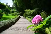 Flower in the botanical garden