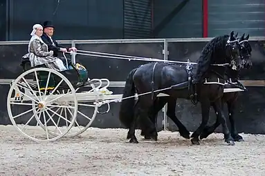 Friesian Sjees