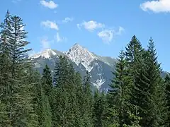 The Alps from Wildsee