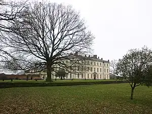 White mansion with leafless tree in foreground