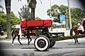 The body of the late Tunisian President Beji Caid Essebsi