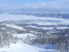 Furano Ski Resort