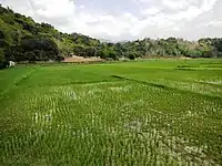 Naguilian rural landscape