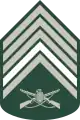 Segundo-sargento(Brazilian Army)