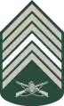 Primeiro-sargento(Brazilian Army)