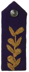 SA Army Chaplains Gorget - General Officers