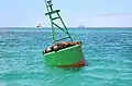 Galápagos sea lions on a buoy in the Itabaca Channel