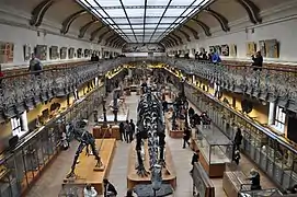 First and second floor of the building (photograph taken from the second floor mezzanine).