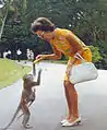 Woman at a Singapore zoo, 1967. Note her Pucci-style print dress.