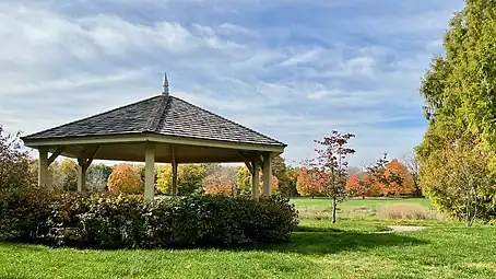 Park landscape