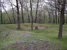 Gee's Slough Mound Group