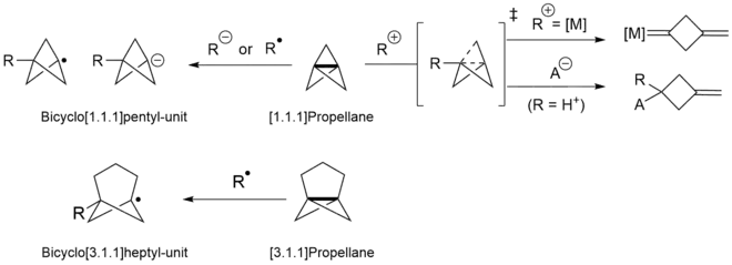 First line shows addition of radical and anions to [1.1.1]Propellane producing Bicyclo[1.1.1]pentane units. It also shows addition of Cations add to the bridgebond of [1.1.1]Propellane. The second line of the figure shows the general reactivity of [3.1.1]Propellane undergoing addition of radicals to produce bicyclo[3.1.1]heptyl-units (no cationic and anionic reactivity reported so far)