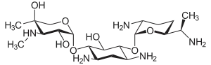 Gentamicin