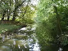 Coston Fen