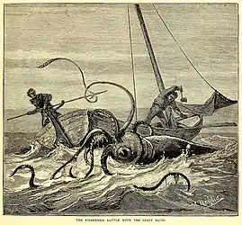 #29 (26/10/1873)Victor Nehlig's 1881 impression of fisherman Theophilus Picot's encounter with a giant squid off Portugal Cove, Newfoundland, on 26 October 1873 (Rathbun, 1881:267, fig.; compare similar illustration by W. A. Cranston, another by Charles Livingston Bull, and this cover by Quinto Cenni)