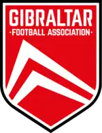 Shirt badge/Association crest