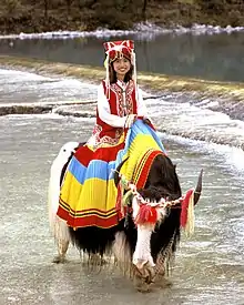 Girl on Yak in Yunnan Province, China