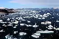 Glaciers and icebergs at Cape York, Greenland